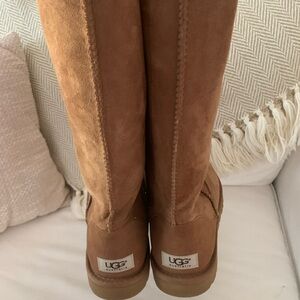 UGG Chestnut Suede Boots